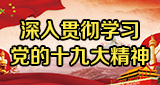 党建活动2